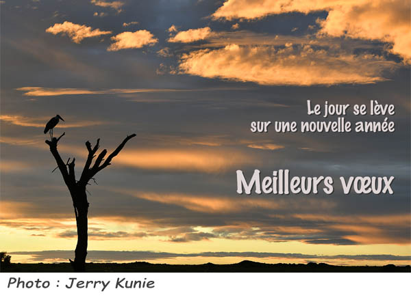 lecturel