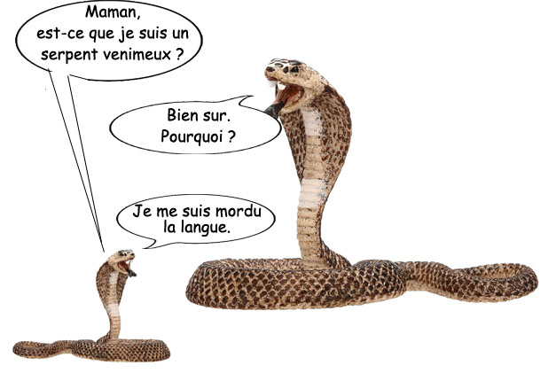 lecturel