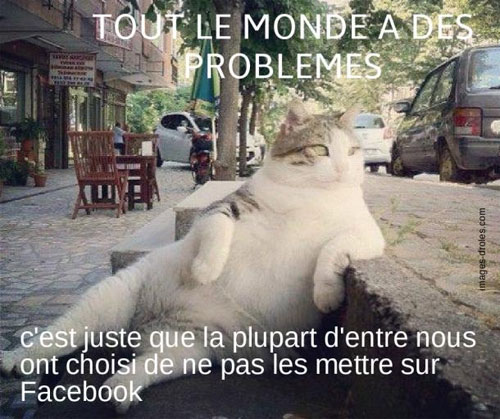 lecturel