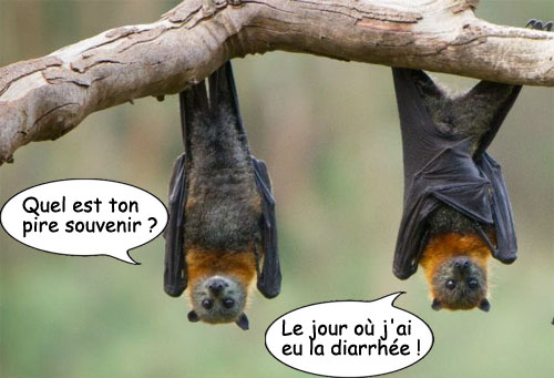 lecturel