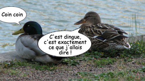 lecturel