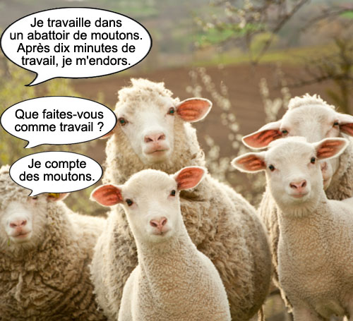 lecturel
