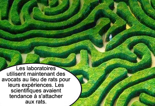 lecturel