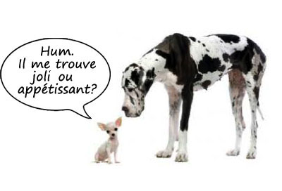 lecturel