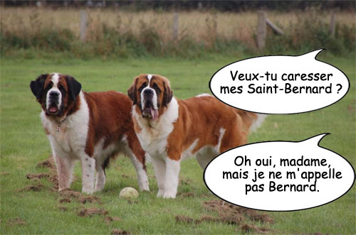 lecturel